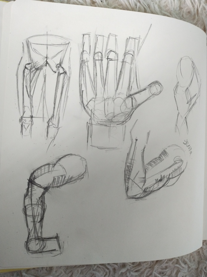 Анатомия, учеба | Пикабу