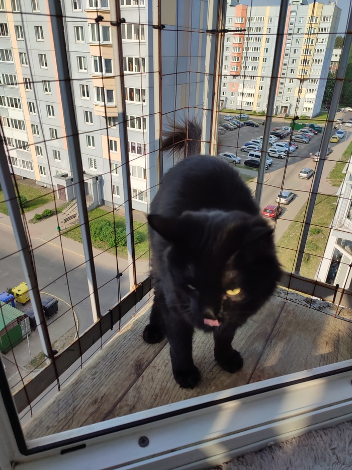 Ответ на пост «Понедельник»