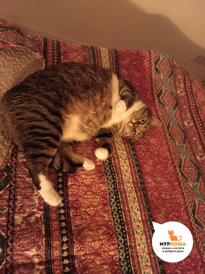 "Уверены, что все у нас будет отлично) Все подружатся. Только чуть попривыкнет малышка. Назвали ее Стеша."