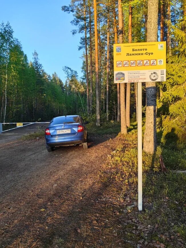 ���������� ������ �������� - 60.248088, 29.809537