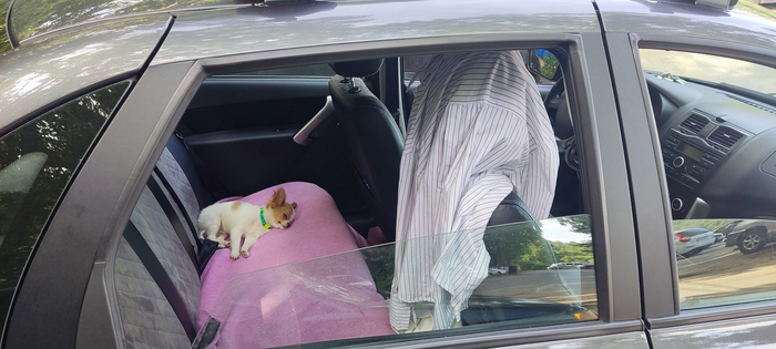 � ������ ���������� ����� �� �������, ����� ����� 3��. �� ����� ���� � ���������...