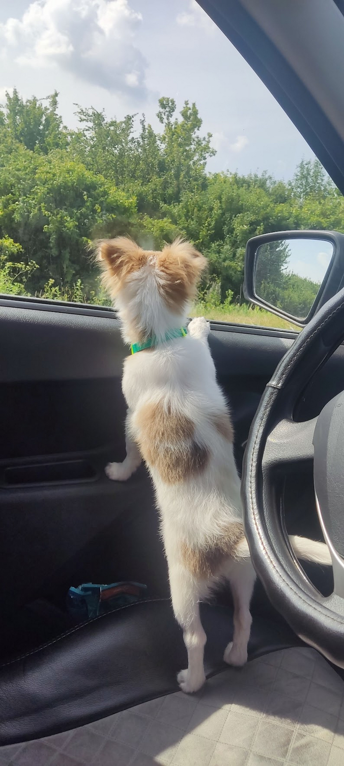 ����� ��� ������ ��� ������, ���� �� ������� �� �������. �� ������ ����� �� ������ ������. ������� � ������� � ������ ������ ��� �������, ���� �������.