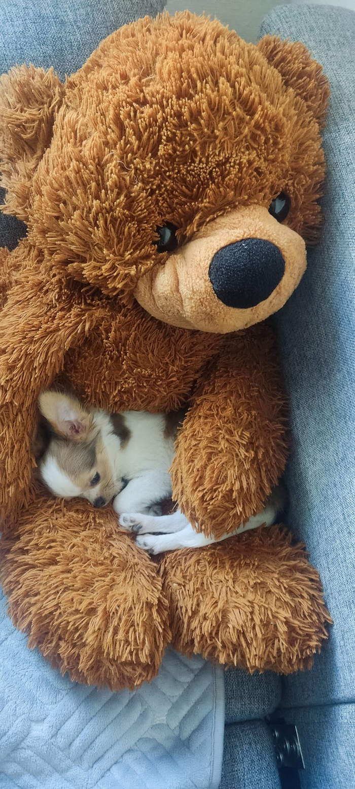 ���� ���� ������� � ������� ���. ����� ��� ���� ������ ����-���� ���� ������, �� �� �������� ��� ����. ������-�� ������ ������ ��� ������ ����� �� ����� �������. ���� ������� �����������.