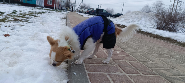 ��, ������ ������, �� ������ �������� �������, ��� ����� ������ �������� ��� �� ������.