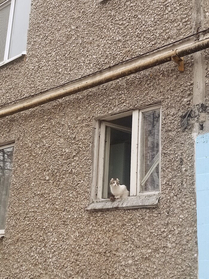     ,  