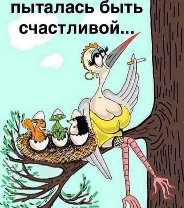 Не фартануло