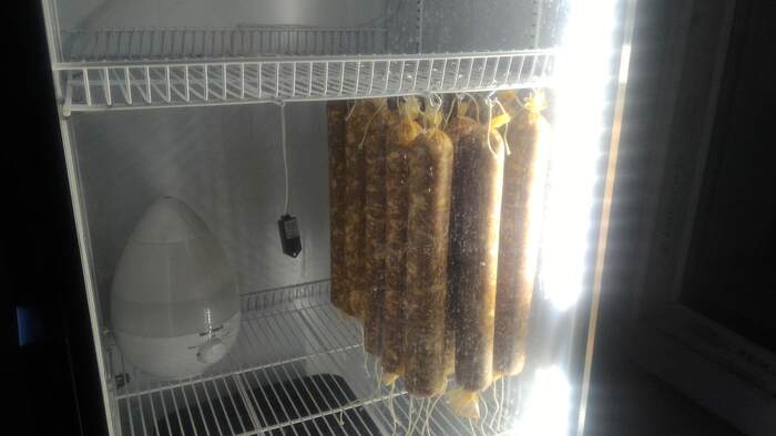    ,             520 DNKQ