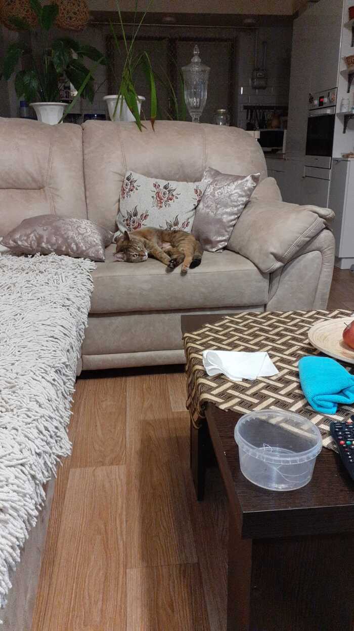 ������� ���� � ������