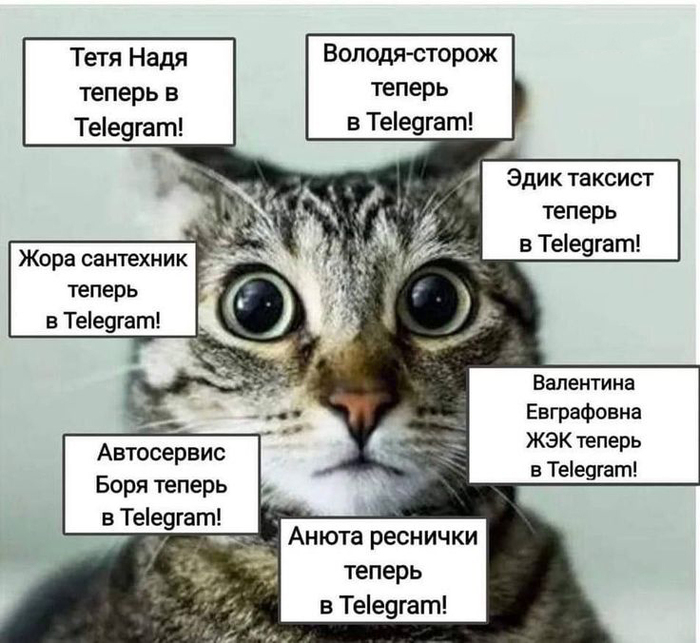  vs     , , Telegram, -