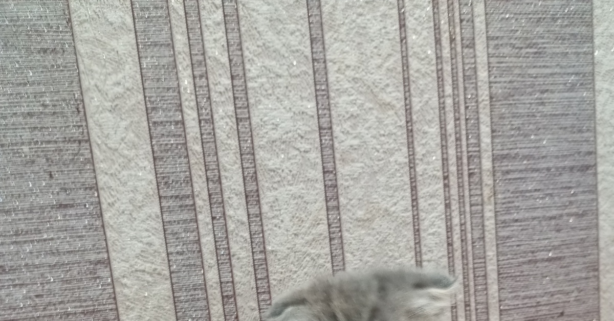 Грозная Туча | Пикабу