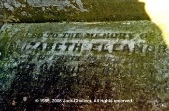 Могила художницы