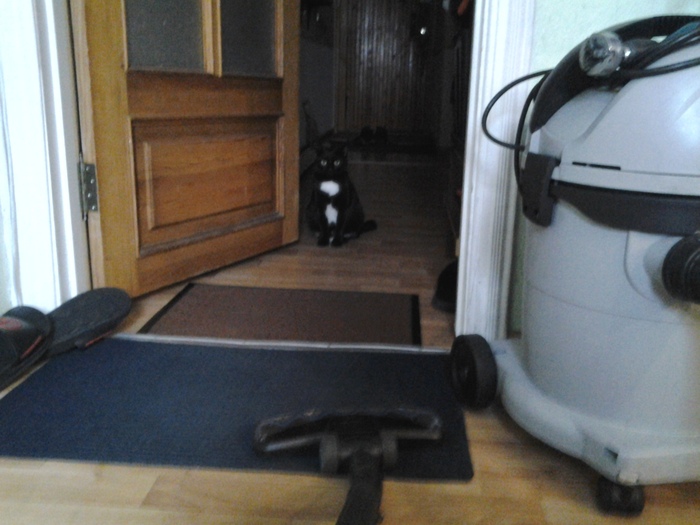 Внимание, все фотографии сделаны на тапок!