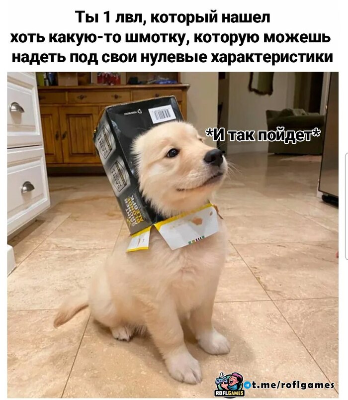 ?  , , RPG, Telegram ()