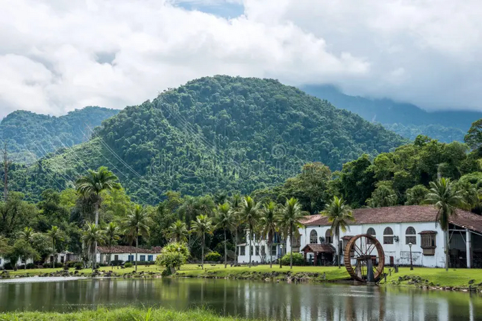   ( -),     , ,   ,          (, ,  -)