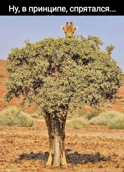 ����� � ����� ���� ����