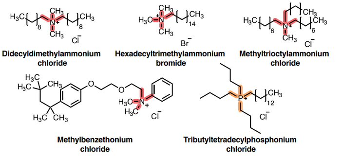 ��������� ����������, ����������� ���������� ������ �� ��������������� / � E.F. Cohn et al., 2024
