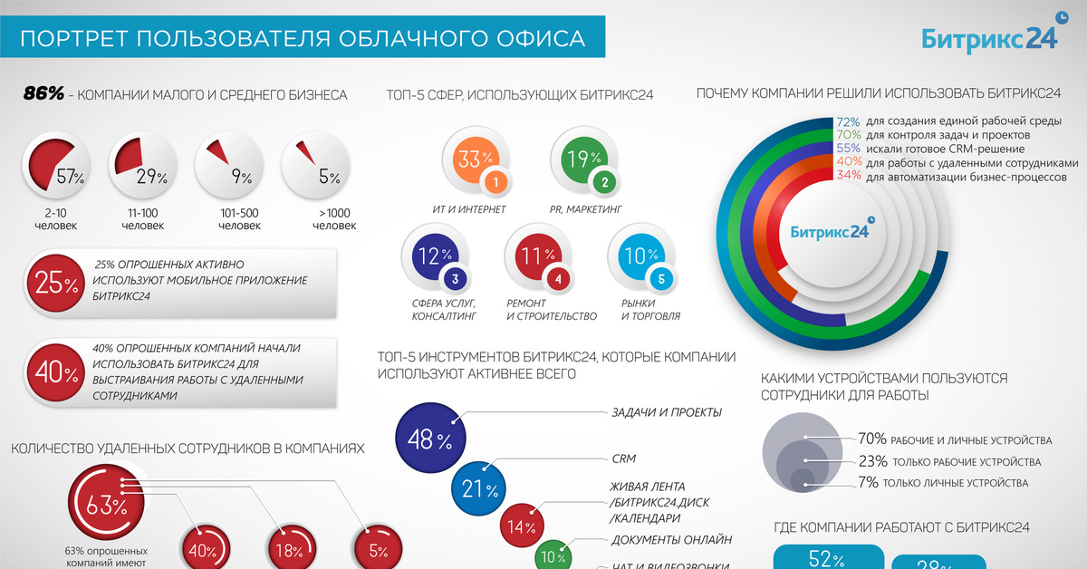 Пользователей представить. Портрет пользователя битрикс24. Инфографика работа. Инфографика облачные сервисы. Портрет пользователя.