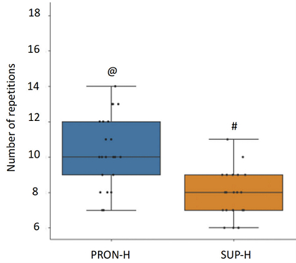 PRON – хват сверху, SUP – снизу