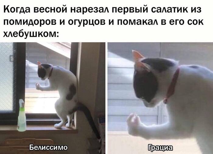  Telegram (), ,   