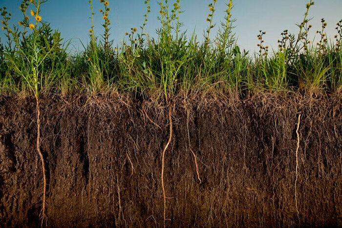  -        .  :       .