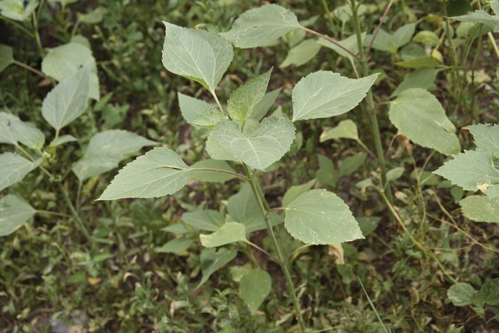  -    ,        ,      .