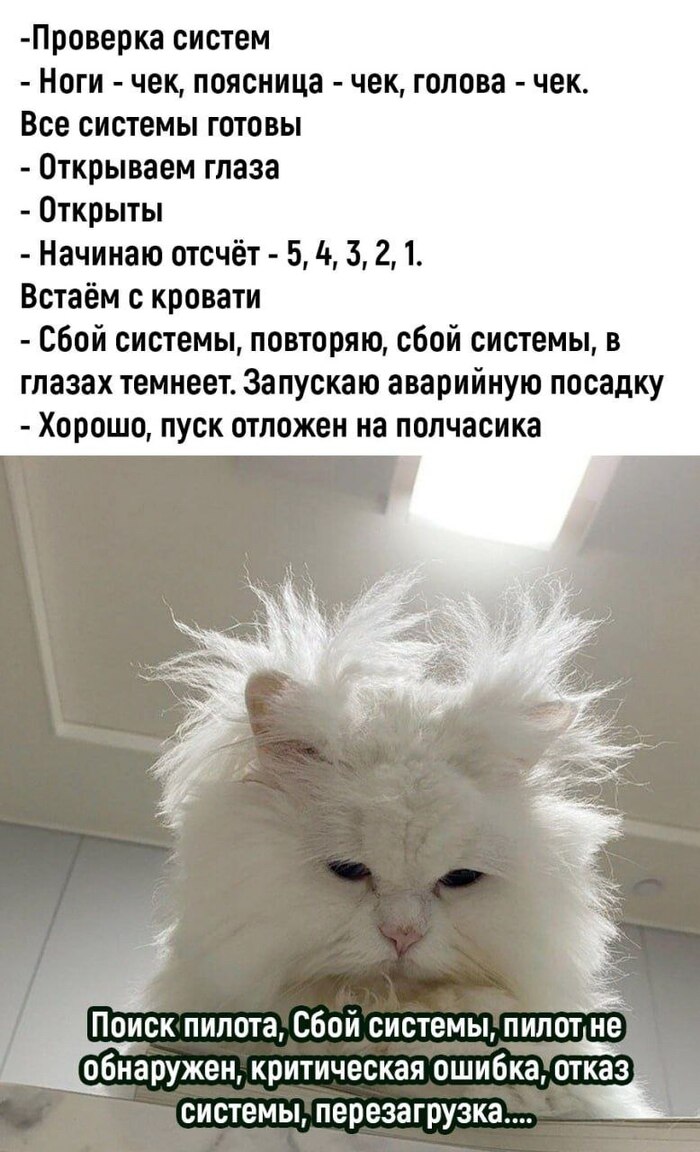   Telegram (), ,   