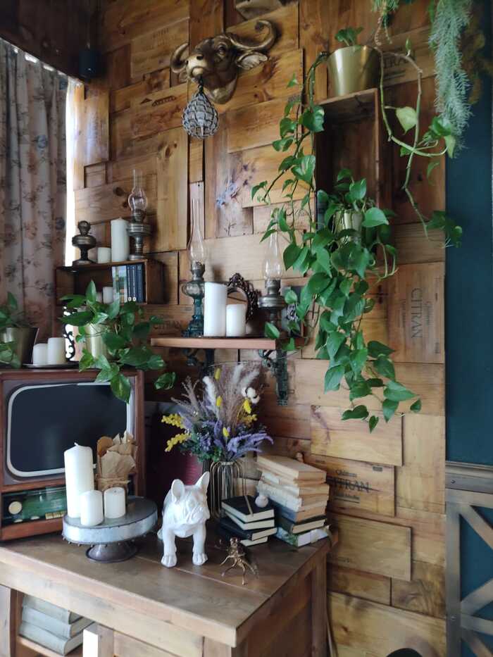 "�����" ������ � ��������� ��� �����