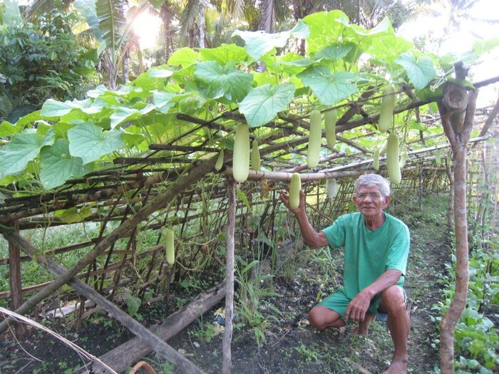 Как «самый надёжный и безопасный способ» привёл к катастрофе Вокруг света, Экология, Экологическая катастрофа, Познавательно, Научпоп, Змея, Страх, Образование, Детская литература, Детский журнал, Длиннопост