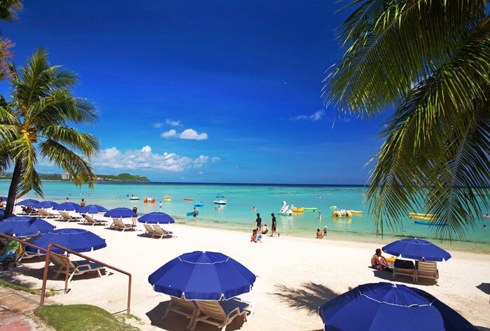 Как «самый надёжный и безопасный способ» привёл к катастрофе Вокруг света, Экология, Экологическая катастрофа, Познавательно, Научпоп, Змея, Страх, Образование, Детская литература, Детский журнал, Длиннопост