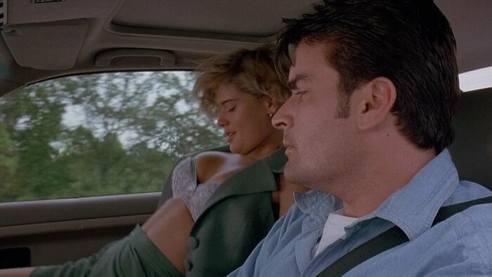 А вы трахались на скорости 250 км в час?