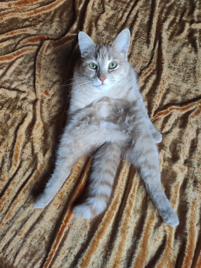 ��� ������