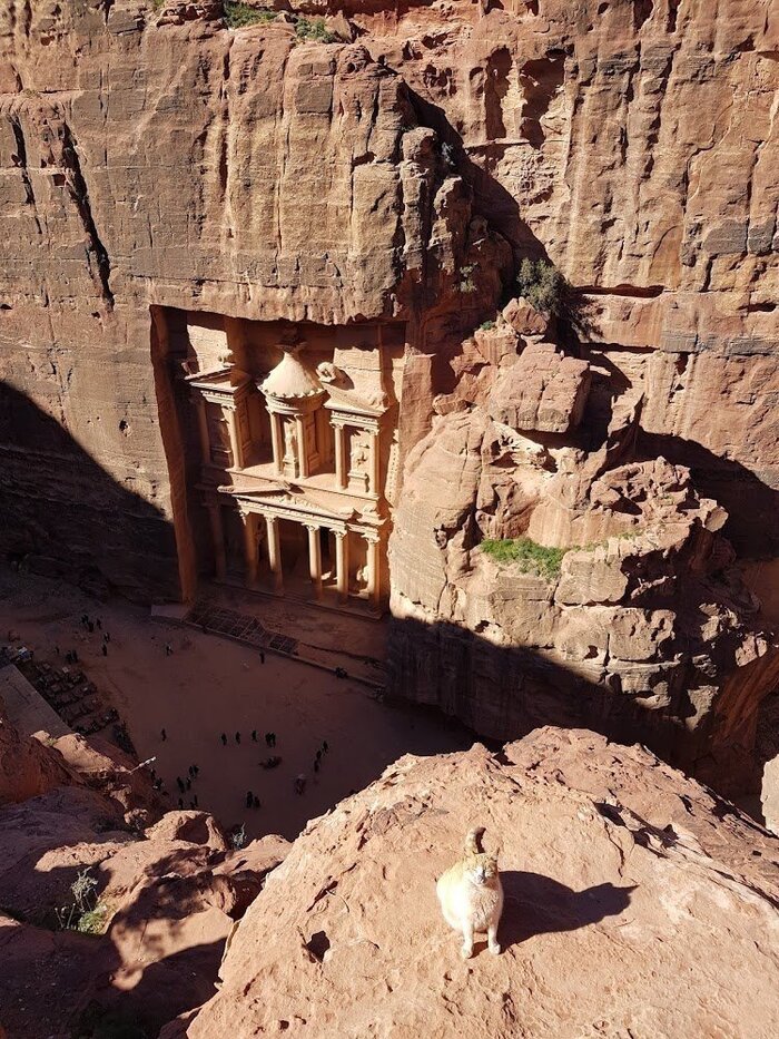 из интернета