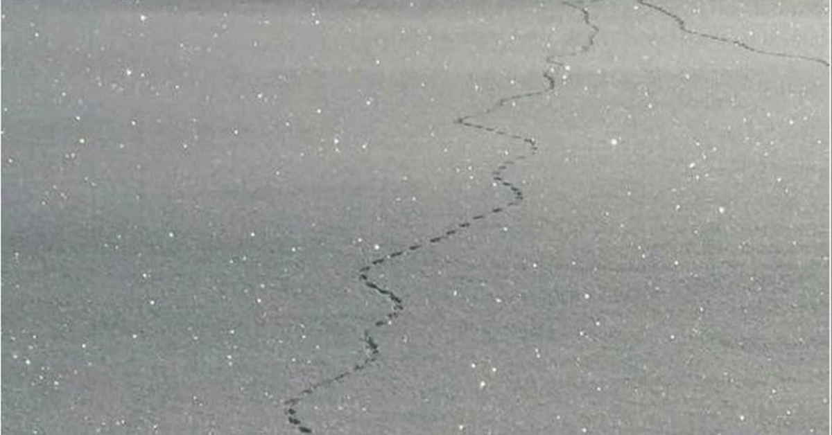 Краткое содержание фильмов "Властелин Колец" | Пикабу