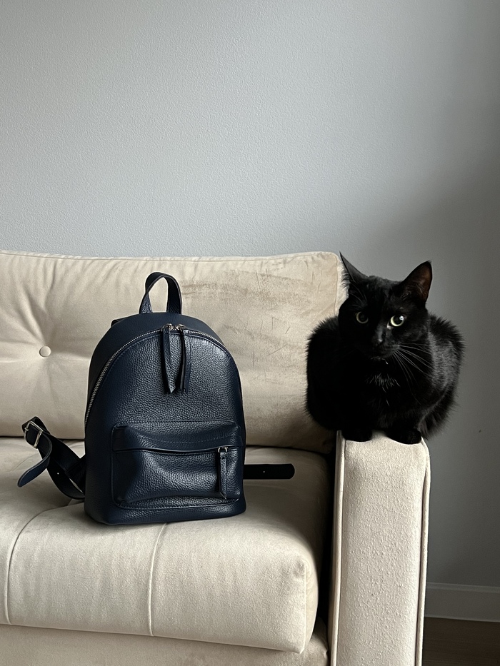 Моя главная помощница - Мамба!