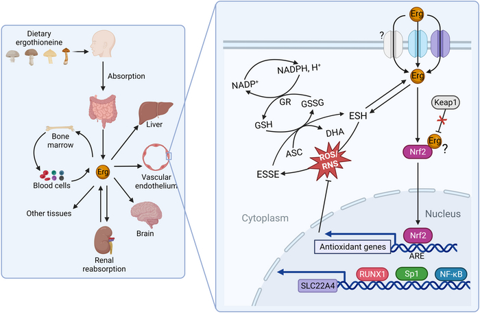 �� ����� �������� ��� ����������� ������ �� ������ � ��� ���������� ���������� � ������� � ��������������� �������� � �������.