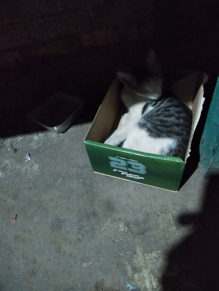 Подписчикам