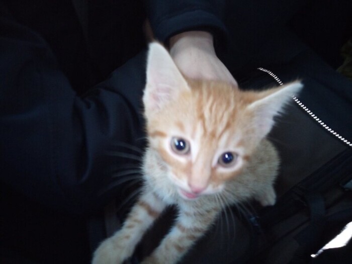      24  2021     .     4