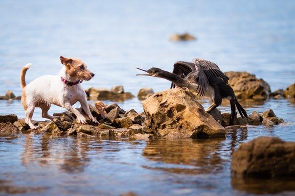 "Ходят тут всякие!"