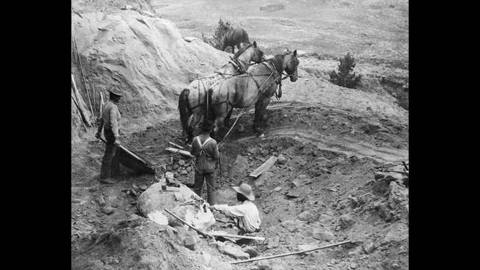          -,  .      .( :  /   Getty Images)