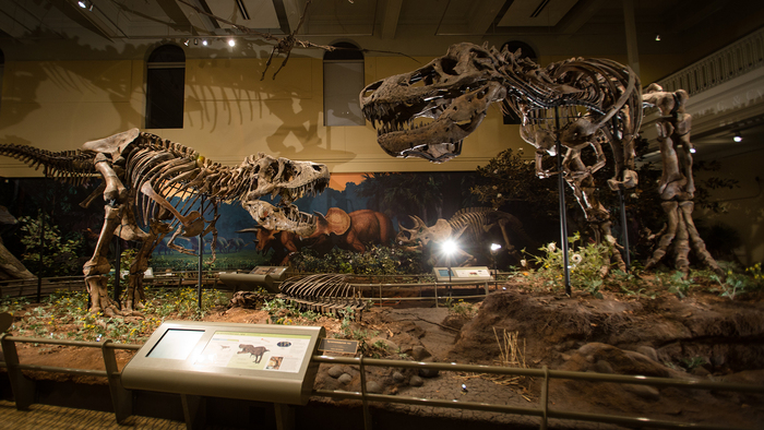   ,    ,  , ,      .( :  /   )