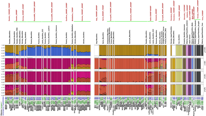  ,            ,         .