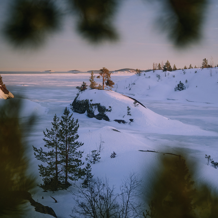 Nikon Z7 II,  Nikkor Z 24-70 f/2.8 ,   44 ,  1/2500 ., f/2.8, ISO 400 ,  1:1