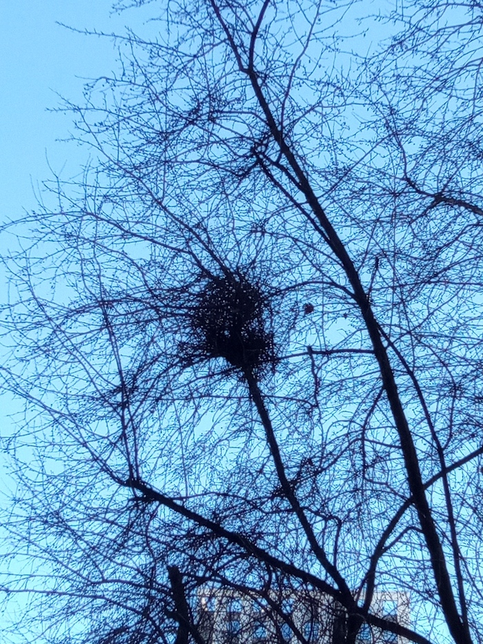  3.      .  &#x20BD;0.