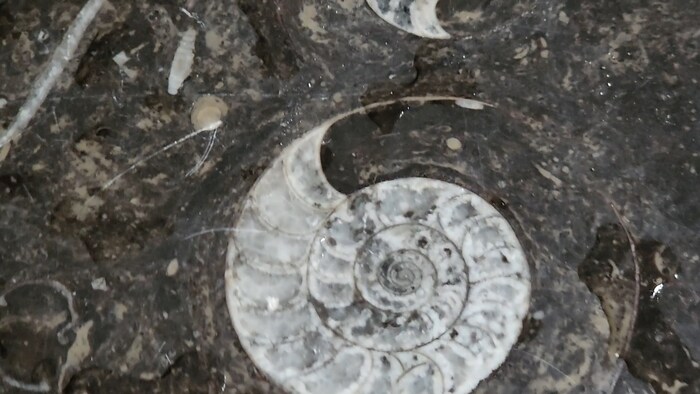 ������� �� ��������� ����� � ������.