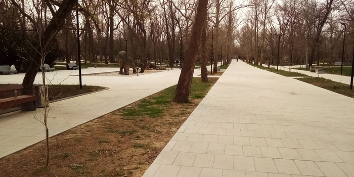 Фото сделано 2 апреля, так что ни травы особо, ни листьев нет, зато наконец-то нормальные дорожки и скамейки.