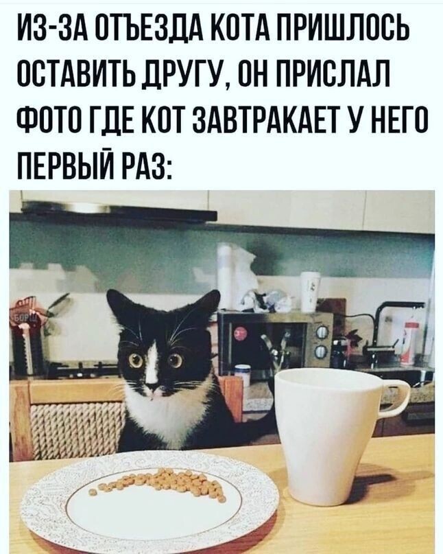 Завтрак