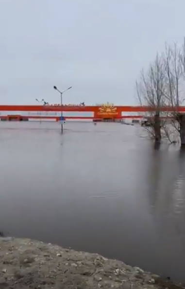 " Вот вода. Вот Апельсин"...