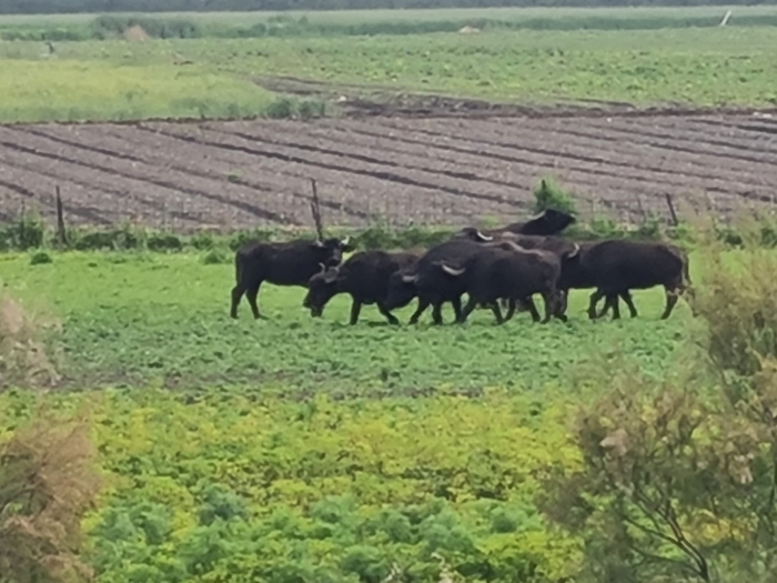       ,    ,    .      .    .