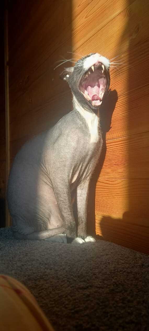 ����� ������ ���������� ����� ����