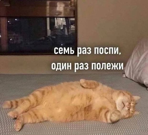 Поспали, теперь можно поесть